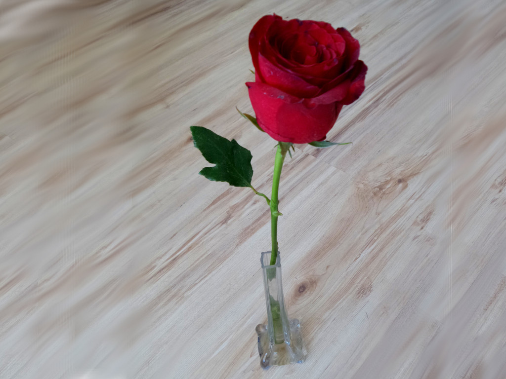 Branyiczky Rita: A halott ember rózsája élni akar